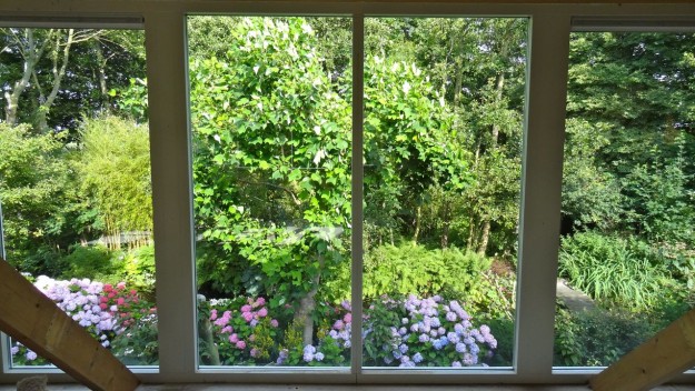 Uitzicht vanuit dakuitbouw Overnachten in Boskoop