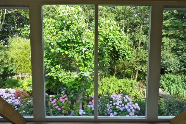 Uitzicht vanuit dakuitbouw Overnachten in Boskoop