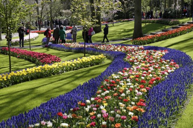 Keukenhof Keukenhof